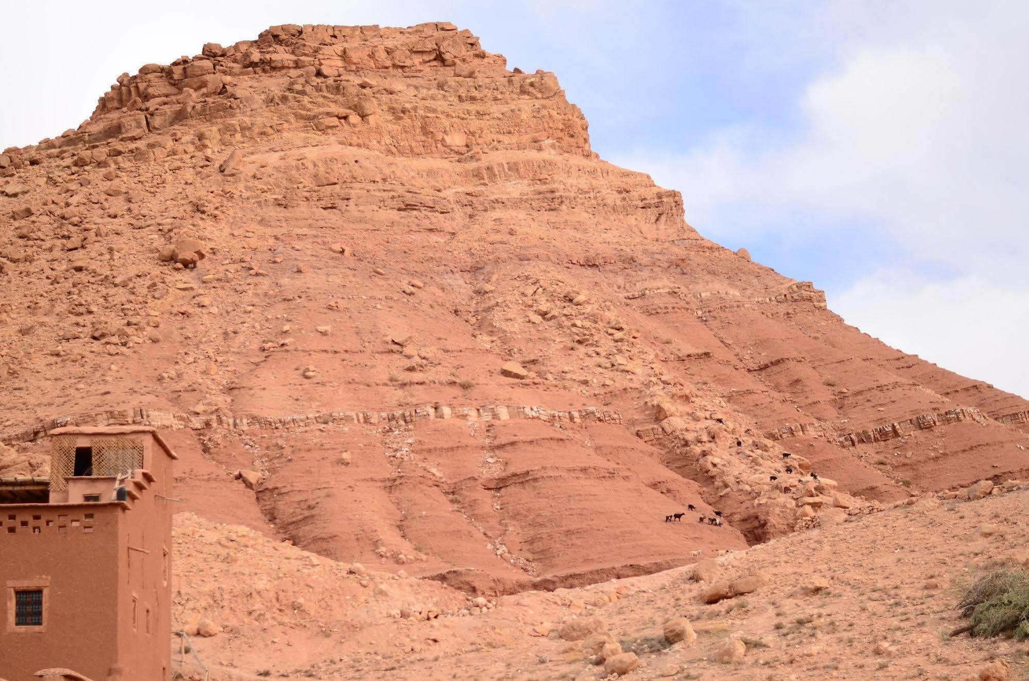 Kasbah Du Peintre Bed & Breakfast Ait Benhaddou Luaran gambar