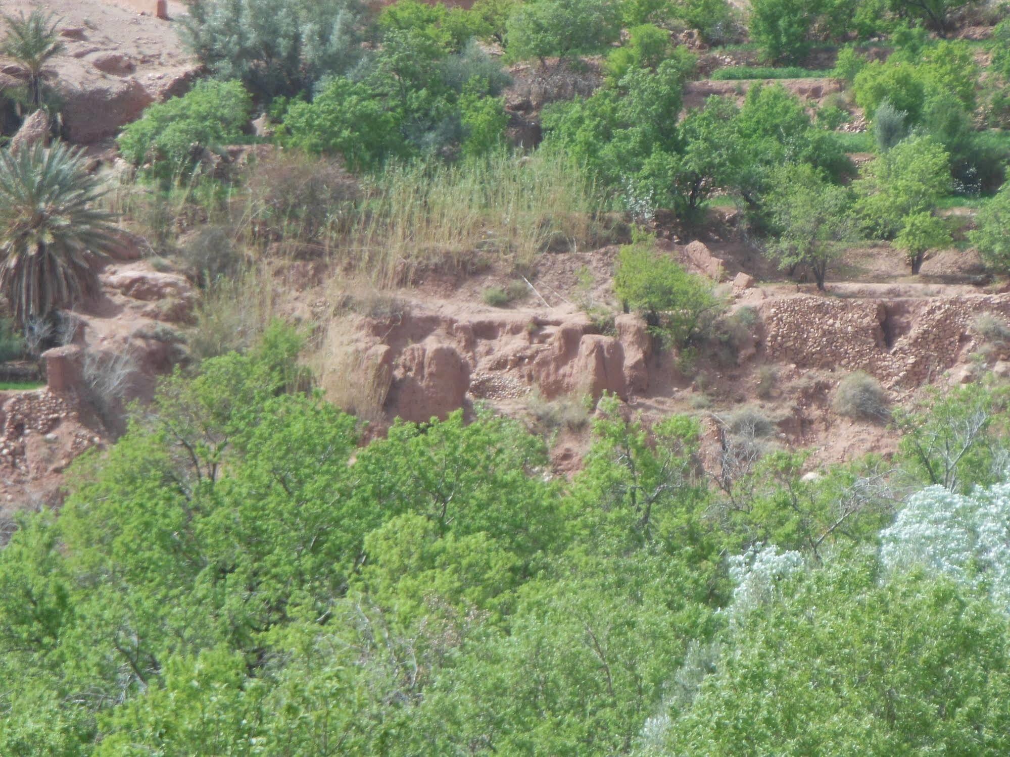 Kasbah Du Peintre Bed & Breakfast Ait Benhaddou Luaran gambar